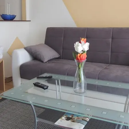 Husic Apartman *